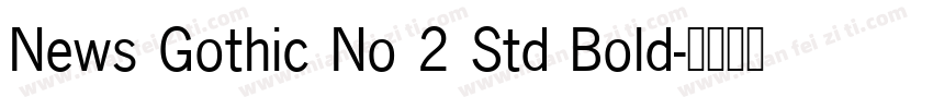News Gothic No 2 Std Bold字体转换